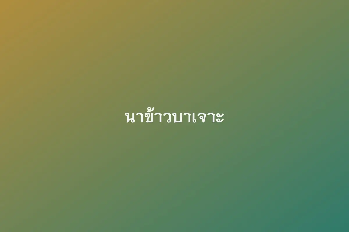 นาข้าวบาเจาะ