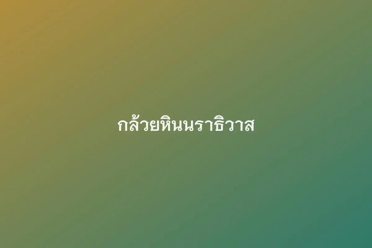กล้วยหินนราธิวาส